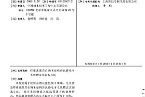 纤维表面具有纳米结构的抗静电羊毛织物及其制备方法
