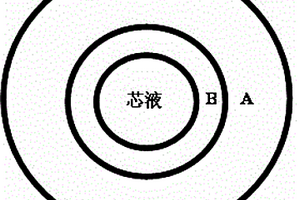 低压磺化聚合物中空纤维纳滤膜的制备方法
