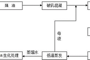 泡排水处理工艺