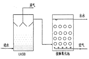 城市污水生物处理工艺路线