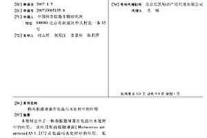 一株南极微球菌在低温污水处理中的应用