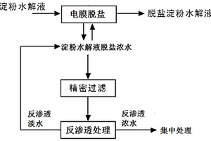 淀粉水解液脱盐浓水的处理方法