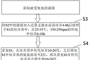 降解氨氮和总氮的制剂及其制备方法