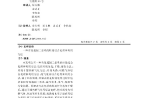 有效遏制二恶英的垃圾综合处理和利用方法