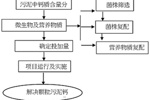 采用微生物酶及营养物质解决颗粒污泥钙化的方法