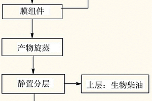 杂化催化膜反应器及用其制备生物柴油的方法