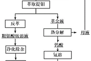 电氧化法分解高钼白钨矿提取钨、钼的方法