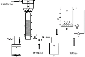 脱氮除磷的水处理装置及其处理方法
