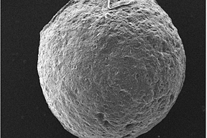 磁性壳聚糖生物固定化颗粒的制备与应用方法