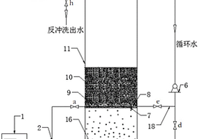 高效稳定的臭氧催化氧化反应装置及其污水处理方法