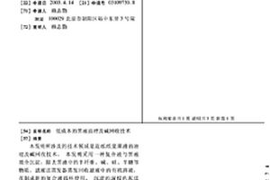 低成本的黑液治理及碱回收技术