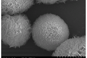 有吸附光催化协同作用的ZnIn<sub>2</sub>S<sub>4</sub>微球的制备方法及其作用