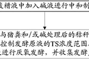 纤维乙醇废糟液与农业废弃物混合发酵的处理方法