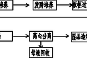 黑曲霉发酵生产葡萄糖酸钙的方法