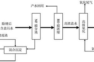 废盐综合利用的处理方法