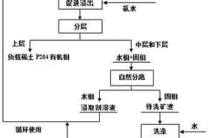 P204萃取法从南方稀土矿中提取稀土的工艺