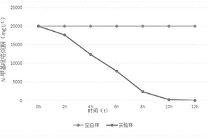 N-甲基吡咯烷酮的降解菌株及其应用