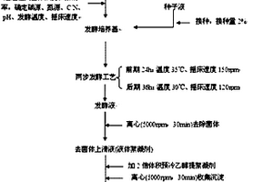 微生物絮凝剂的两步发酵生产方法