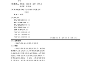 磁性纳米复合光催化剂及应用