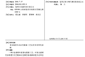 非金属材料表面电镀新工艺及其专用导电涂料