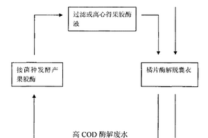 发酵-酶解耦联脱除柑橘橘片囊衣的方法
