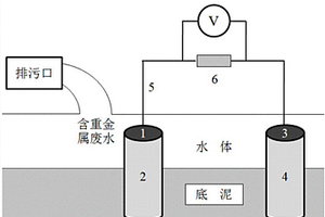 基于浓差电池的水体重金属污染监测方法及装置