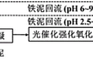 生化尾水梯级氧化深度净化的方法