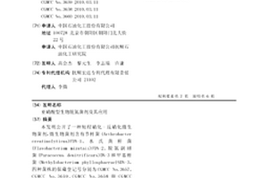 亚硝酸型生物脱氮菌剂及其应用