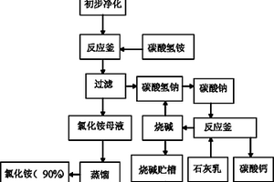 废盐水净化技术