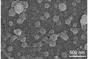 基于层状石墨相氮化碳纳米片的高通量仿生纳滤膜及其制备方法