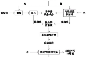 N-乙酰氨基葡萄糖脱乙酰酶的提取方法