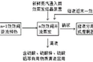 含盐废硫酸回用工艺及装置