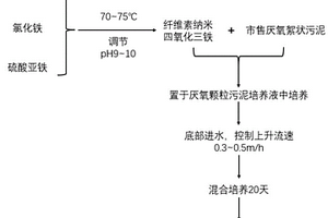 纤维素磁性载体及其制备方法、含有该载体的厌氧颗粒污泥及其制备方法