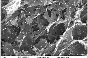 用于活化过硫酸盐的Co<sub>3</sub>O<sub>4</sub>/三维氮掺杂石墨烯水凝胶催化剂及其制备和使用方法