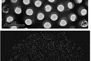 磁性悬浮态3D微球的制备及其催化臭氧矿化难降解有机物上的应用