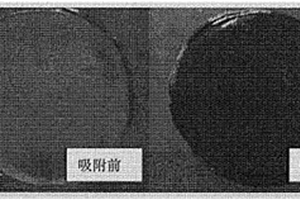 含有纳米粘土的高吸附性环氧树脂及其制备方法和应用