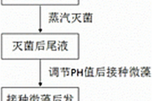 微藻在二氧化碳下生长净化未稀释厌氧发酵尾液的方法