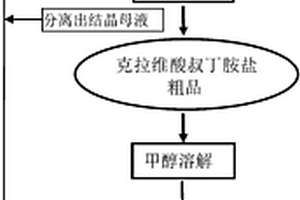 从结晶母液中回收克拉维酸叔丁胺盐的方法