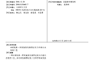 亚硝化菌-厌氧氨氧化菌固定化与中温污水处理工艺