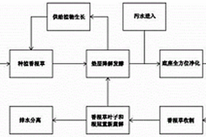 香根草污水净化系统及其方法