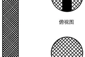 电化学处理系统及其在回收磷中的应用