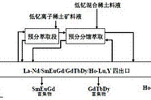 低钇混合稀土和低钇离子稀土矿预分萃取共同分组工艺