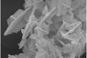 核壳结构BiO<sub>2-x</sub>@TiO<sub>2</sub>异质结光催化材料及其制备方法与应用