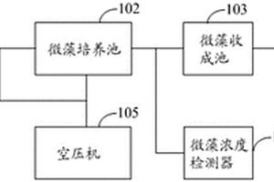 利用动物粪尿水养殖微藻的系统及方法