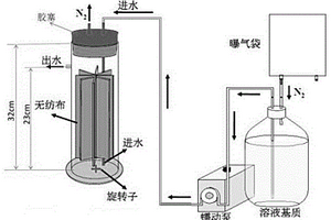 耐镉硫酸盐还原活性污泥的驯化方法