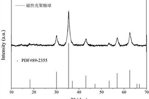 利用磁性壳聚糖凝胶球固定化厌氧铁氨氧化菌的方法