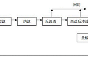 废盐水的处理方法及装置