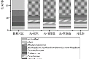 B掺杂的g-C<Sub>3</Sub>N<Sub>4</Sub>/BiVO<Sub>4</Sub>光催化剂及其制备与应用