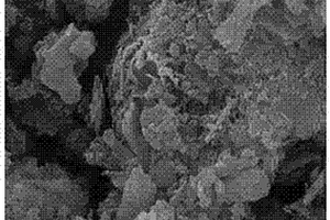 利用蒸汽加压混凝土砌块制备水体除氟材料的方法