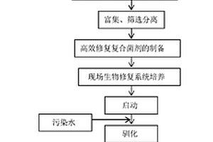 高效修复复合菌剂及其应用